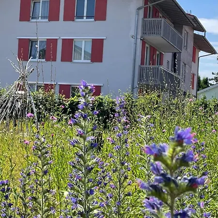 Allium Apartmán *